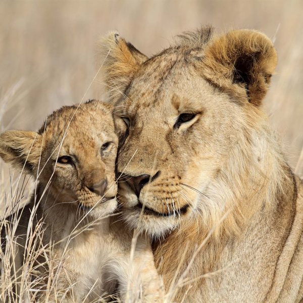 15-Days-trip-Tanzania-Zanzibar