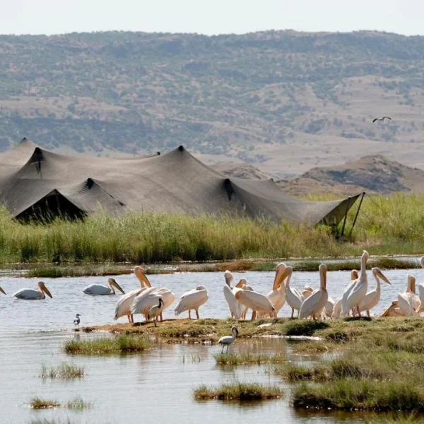 Lake Natron Pictures - 2