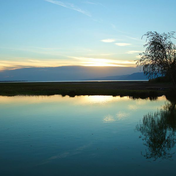 cmp3.10.3.2Lq4 0xc00243e0