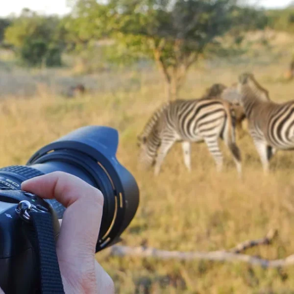 RTanzani-Photographic-safari