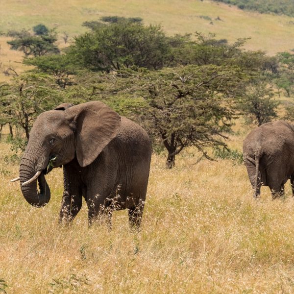 ReizerImage1920X1280(3)