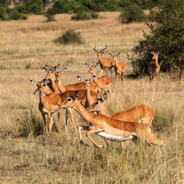 ResizerImage1860X1240(3)