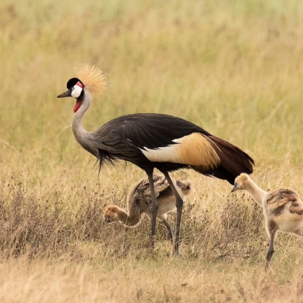 ResizerImage1910X1273(5)