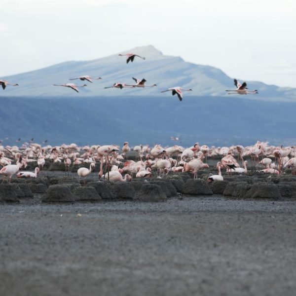 Screenshot 2025-06-04 at 11.53.31