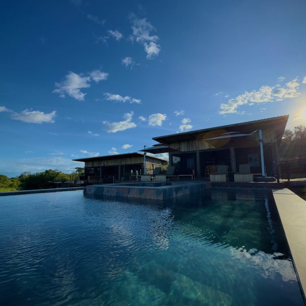 Tarangire-Elephant-Springs_Swimming_Pool_1-scaled