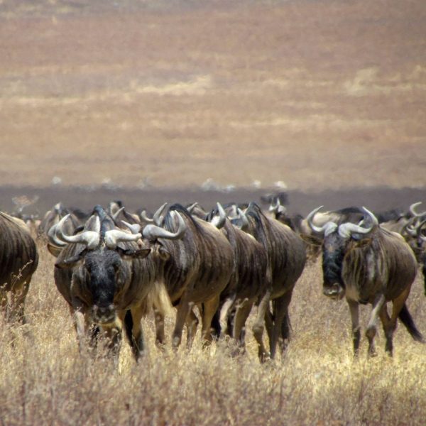 img-20240319-164607-968